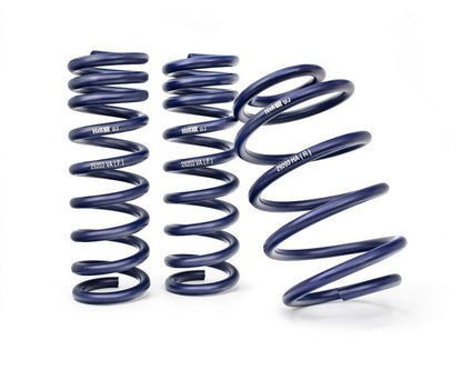 BMW F30 3-Series / F32 4-Series H&R Lowering Springs (RWD) 30 mm